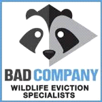 Bad Company Wildlife Eviction