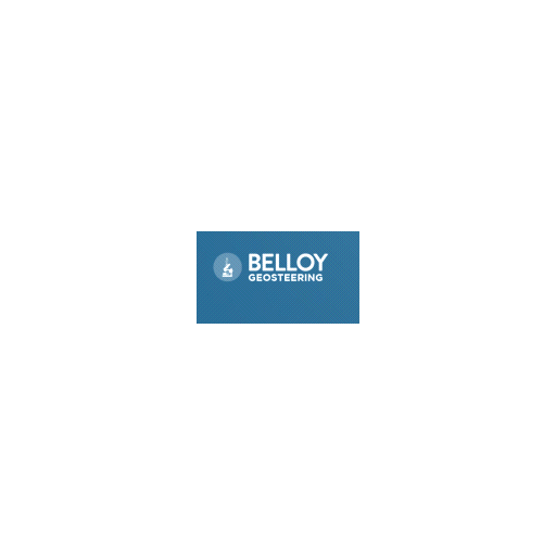Belloy Geosteering