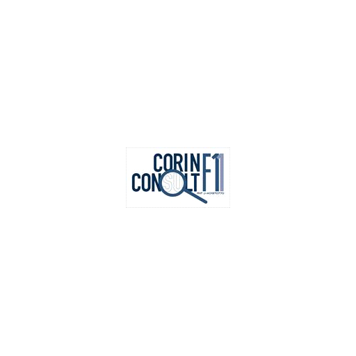 Corin Consult F11, C.A