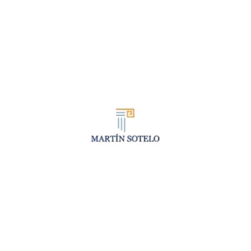 Martín Sotelo® Consultores y Abogados