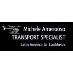 Michele Ameruoso Transport Specialists