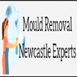Mould Removal Newcastle Experts