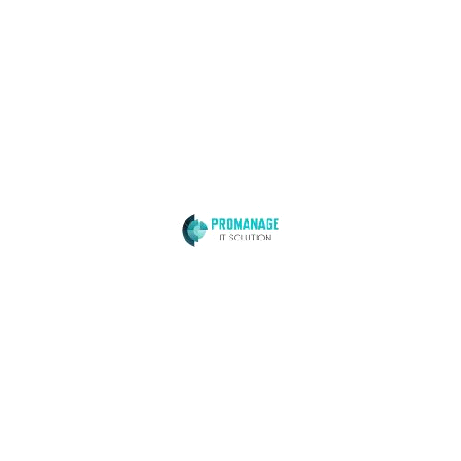 Promanage IT Solutions